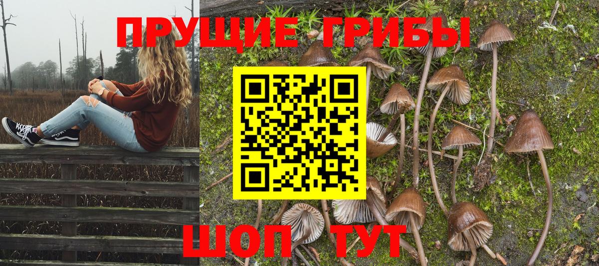 Лангепас  наркотики  Вход с VPN  Галлюциногенные грибы Psilocybe 